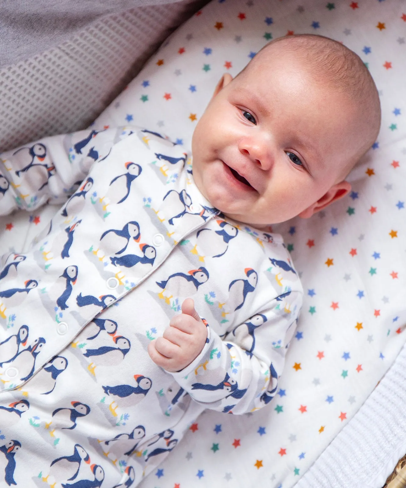 Frugi Adorable Babygrow Gift Set - Puffin Pals/Moss Stripe