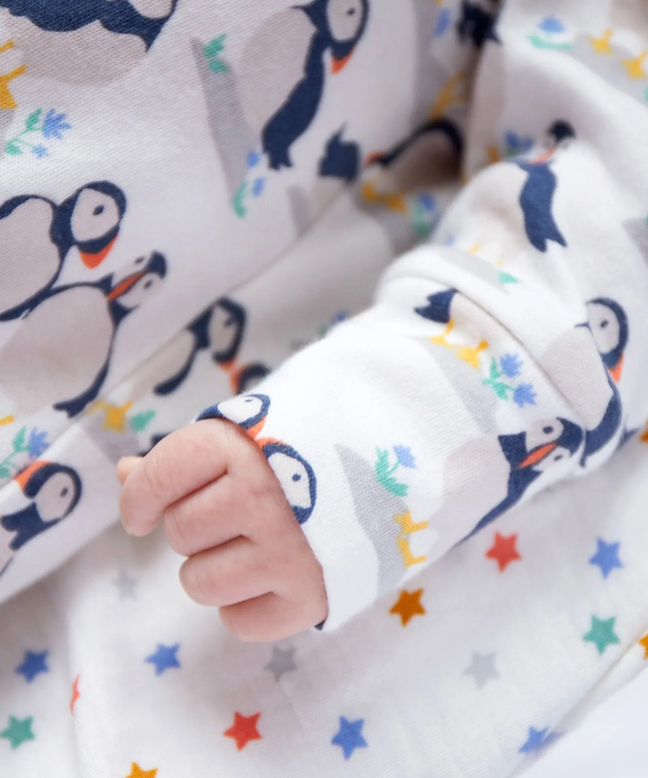 Frugi Adorable Babygrow Gift Set - Puffin Pals/Moss Stripe