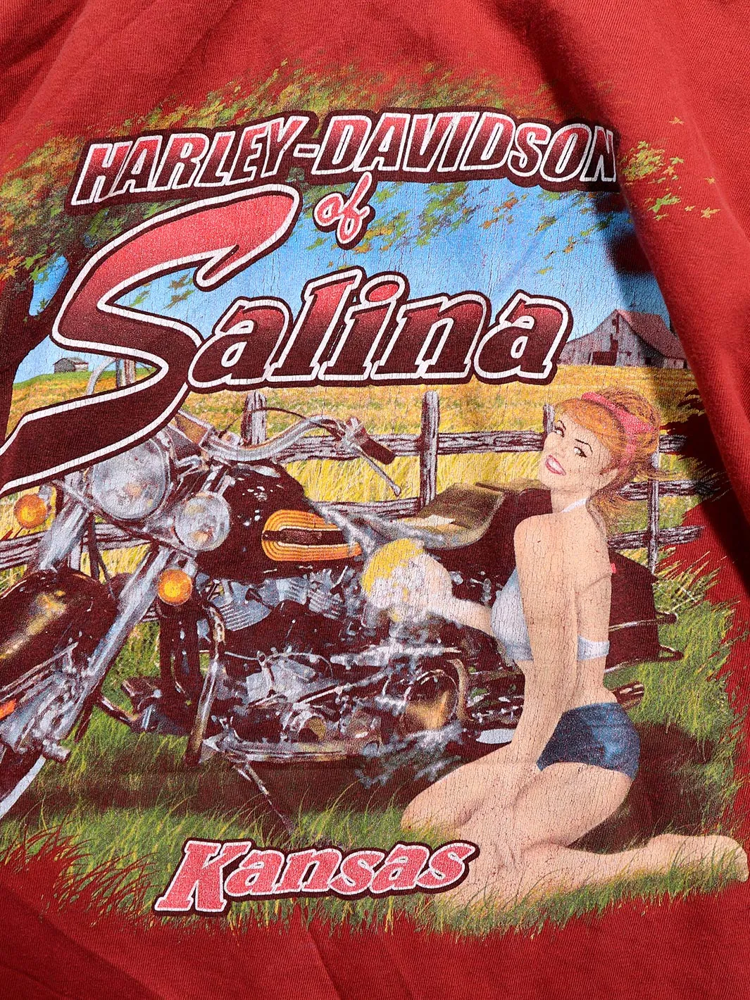 Harley Davidson Salina Kansas T-Shirt (XL)