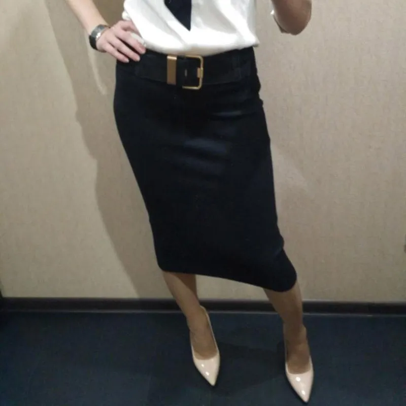 Spring Autumn Long Pencil Skirts Women Slim